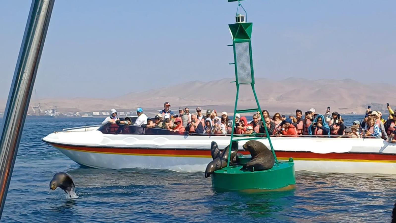 Arena Hostal Paracas Exteriör bild